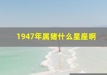 1947年属猪什么星座啊,1947年猪是什么命