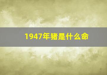 1947年猪是什么命,1947年属猪命运如何