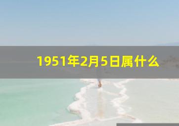 1951年2月5日属什么,1951年2月5日属什么生肖