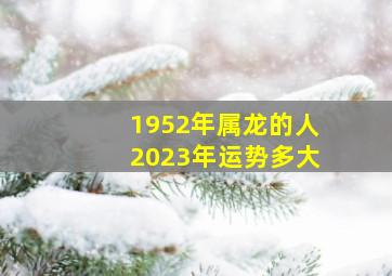 1952年属龙的人2023年运势多大,属龙的2023年运势和财运怎么样