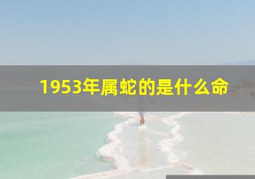 1953年属蛇的是什么命,1953年属蛇什么命