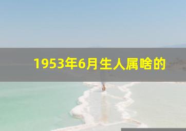 1953年6月生人属啥的,1953年6月生人是什么命