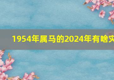 1954年属马的2024年有啥灾,1954年属马2024的是什么命