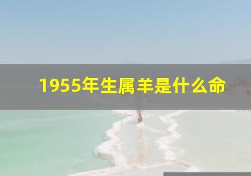 1955年生属羊是什么命,1955年出生属羊什么命