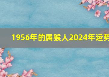 1956年的属猴人2024年运势,1956年属猴2024年运势及运程每月运程