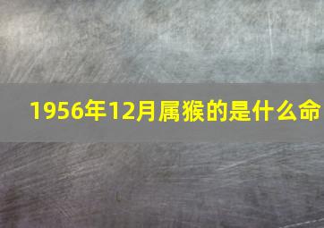 1956年12月属猴的是什么命,1956年辰时出生的生肖属猴人是什么命