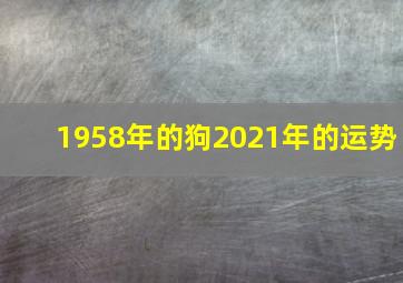 1958年的狗2021年的运势,2021年属狗人全年运势解析