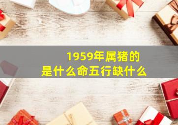 1959年属猪的是什么命五行缺什么,1959年属猪是什么命