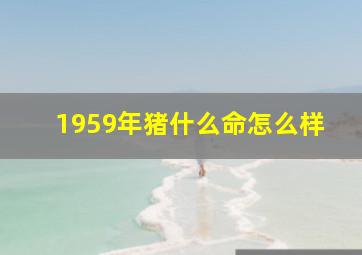 1959年猪什么命怎么样,1959年是什么命