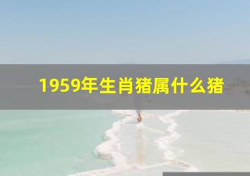 1959年生肖猪属什么猪,59年属的是什么