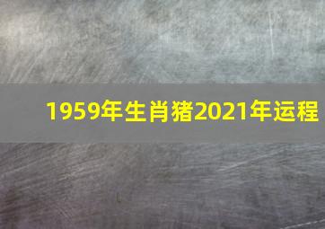 1959年生肖猪2021年运程,1995年属猪的人2021年运程26岁的生肖猪2021年运势怎么样