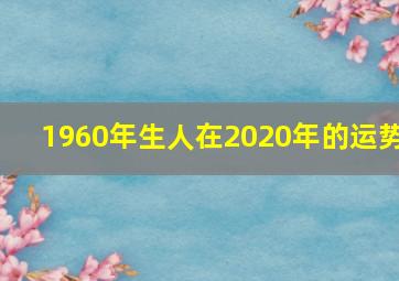 1960年生人在2020年的运势,属鼠人的命运