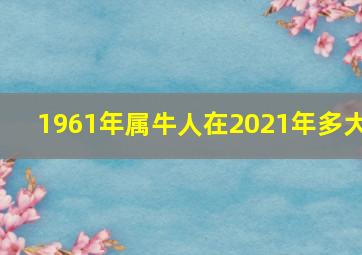 1961年属牛人在2021年多大,属牛的今年多大了2023年