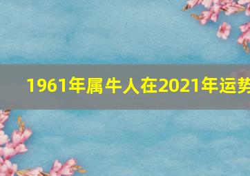 1961年属牛人在2021年运势,属牛1961年生的人2021年本命年应该注意什么