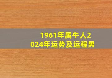 1961年属牛人2024年运势及运程男,1961年属牛男2024年运势