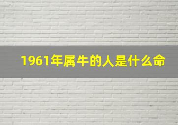 1961年属牛的人是什么命,1961年辰时出生的生肖属牛人命好吗