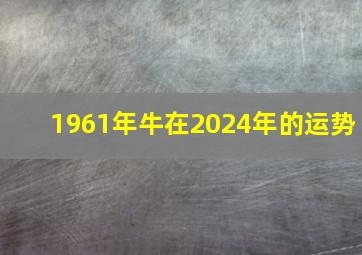 1961年牛在2024年的运势,1961年属牛的在2024年的命运