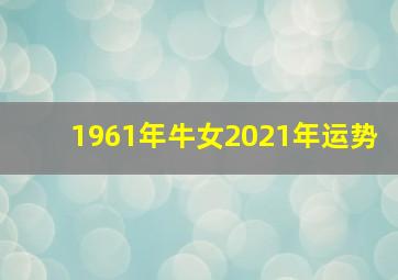 1961年牛女2021年运势,1961年出生的属牛人2021年多大了