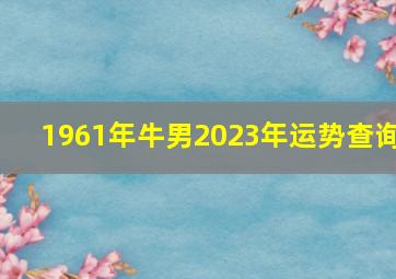 1961年牛男2023年运势查询,61年属牛男是二婚命吗