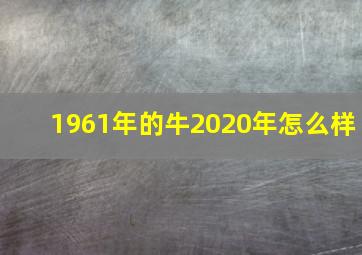 1961年的牛2020年怎么样,1961年出生属牛的人2023年多少岁