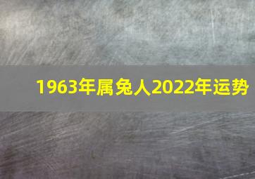 1963年属兔人2022年运势