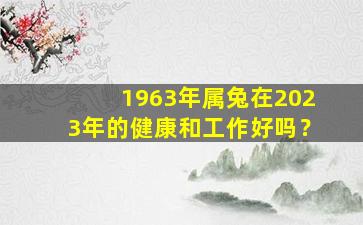 1963年属兔在2023年的健康和工作好吗？