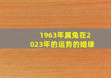 1963年属兔在2023年的运势的姻缘,2023年下半年属兔人姻缘婚恋运势