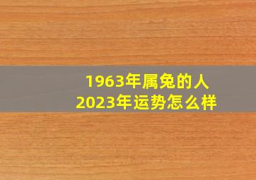 1963年属兔的人2023年运势怎么样,属兔人在2023年本命年运势怎样