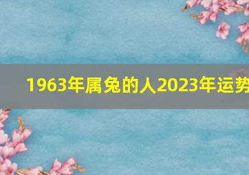 1963年属兔的人2023年运势,属兔的人2023年运程大全属兔人必看