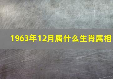 1963年12月属什么生肖属相,1963年属什么生肖年属兔的是什么命