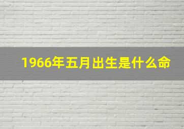 1966年五月出生是什么命,1966年5月出生的人五行属什么