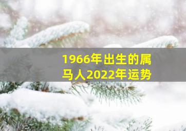 1966年出生的属马人2022年运势,属马人2022年运势运程