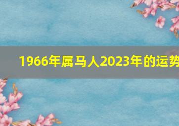 1966年属马人2023年的运势,1966年出生属马人2023年运势及运程