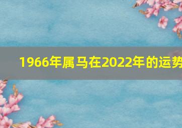 1966年属马在2022年的运势,1966年属马2022年运势及运程每月运程