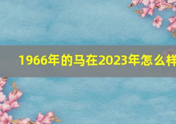 1966年的马在2023年怎么样,1966年属马男是什么命20231966年生的属马男2023年运势