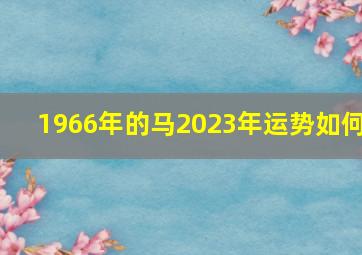 1966年的马2023年运势如何,1966年出生属马人2023年运势及运程