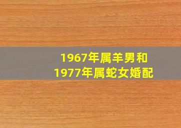 1967年属羊男和1977年属蛇女婚配,1967年的羊和1977年的蛇能结婚吗