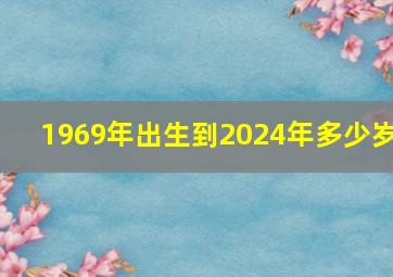 1969年出生到2024年多少岁,1969属鸡最难熬的年龄