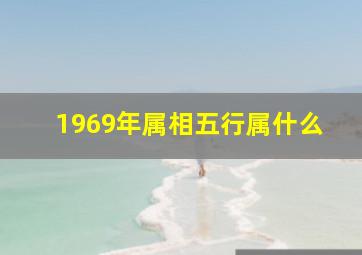 1969年属相五行属什么,1969年属相五行属什么属性