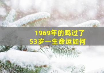 1969年的鸡过了53岁一生命运如何,69年属鸡53岁命中注定财运能力稳定