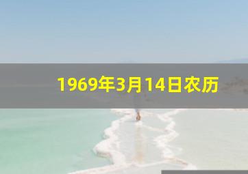 1969年3月14日农历