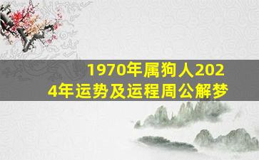 1970年属狗人2024年运势及运程周公解梦,1970年属狗人2024年运势及运程周公解梦