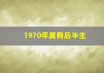 1970年属狗后半生,1970年属狗人的50岁后半生各运势情况