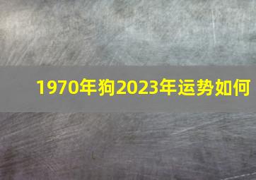 1970年狗2023年运势如何,1970年出生属狗的人2023年多少岁运势简析