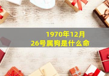 1970年12月26号属狗是什么命,1970年阴历3月24属狗的人运势