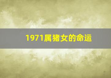 1971属猪女的命运,71年猪女下半生命运