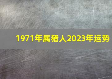 1971年属猪人2023年运势