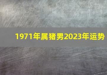 1971年属猪男2023年运势,52岁1971年出生属猪的2023年事业运怎样样诸多喜讯