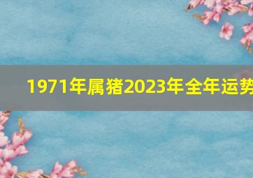 1971年属猪2023年全年运势,2024年属猪男1971全年运势