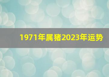 1971年属猪2023年运势,1971年出生属猪人2023年运势及运程